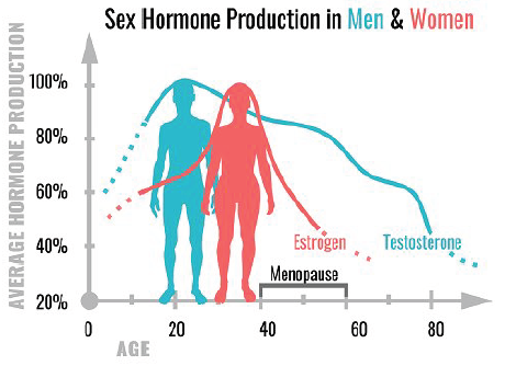 Hormone Production Chart