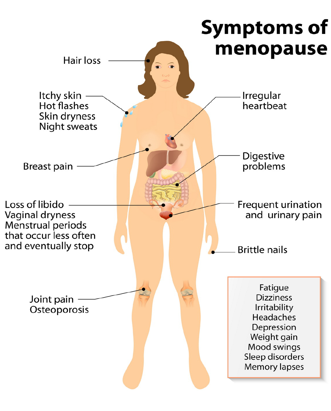 Menopause Symptoms