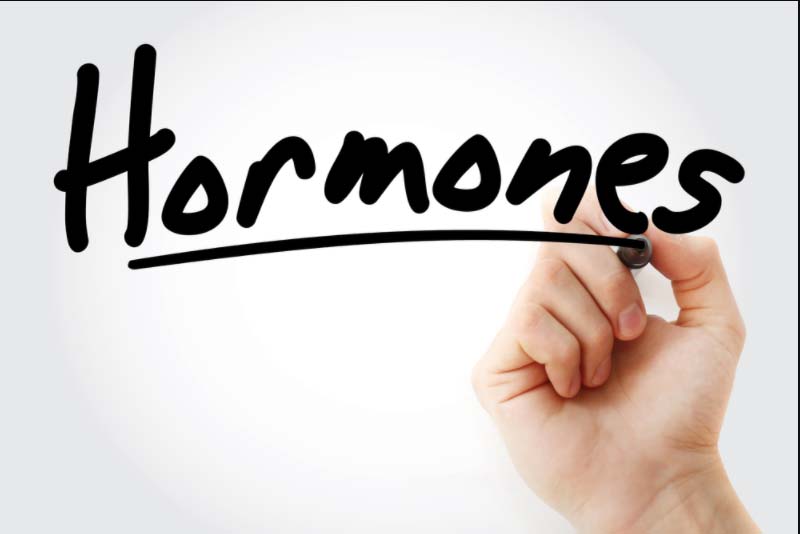 Hormones